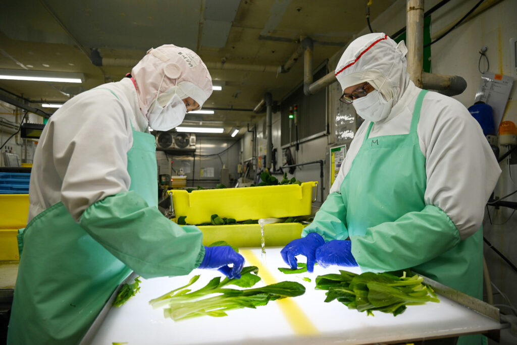 12 野菜下処理室